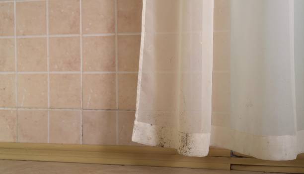 Best Mold Odor Removal Services  in Olivette, MO