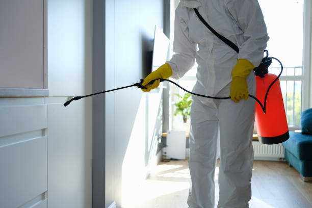 Best Residential Mold Inspection & Testing  in Olivette, MO