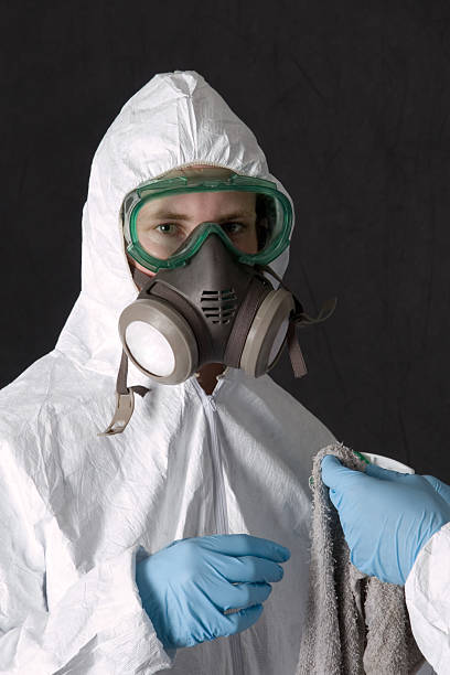 Best Attic Mold Removal  in Olivette, MO